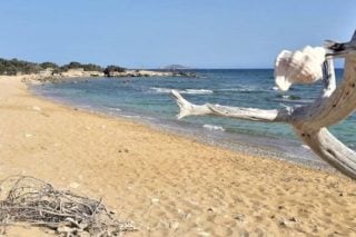 Ενα (αντι)παράδειγμα περιβαλλοντικής πολιτικής: αποανάπτυξη, κοινά και συμβιωτική προστασία της φύσης