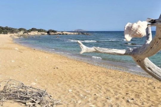 Ενα (αντι)παράδειγμα περιβαλλοντικής πολιτικής: αποανάπτυξη, κοινά και συμβιωτική προστασία της φύσης