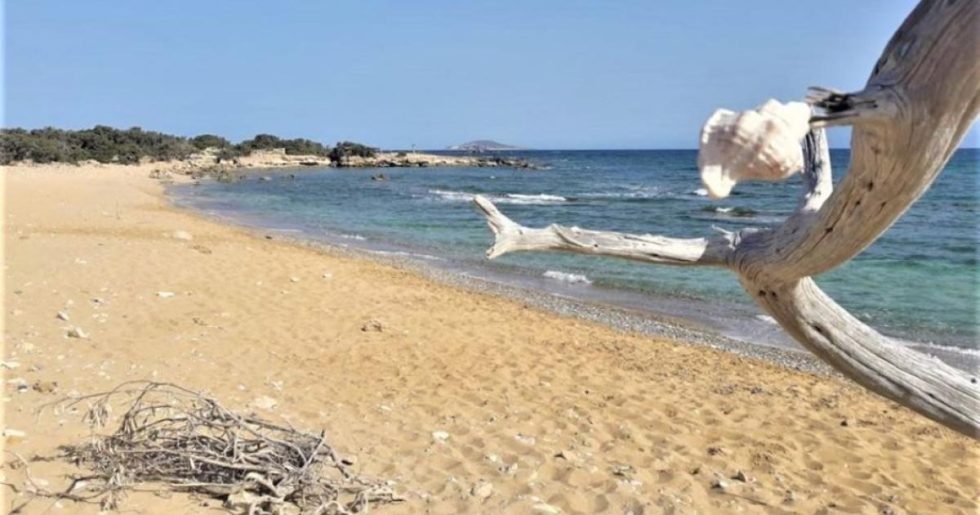 Ενα (αντι)παράδειγμα περιβαλλοντικής πολιτικής: αποανάπτυξη, κοινά και συμβιωτική προστασία της φύσης