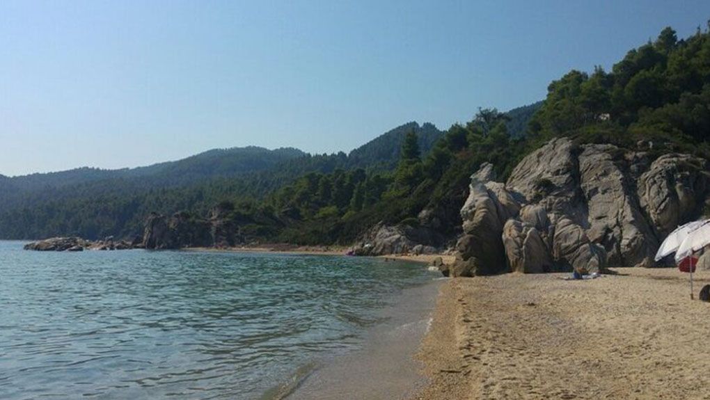 «Κάποια… ξαπλώστρα έχει η Φάβα» σχολιάζουν σκωπτικά κάτοικοι της Σιθωνίας