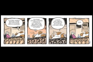 Ενα αρκούδι μετρά τ'άστρα 28.03.2026