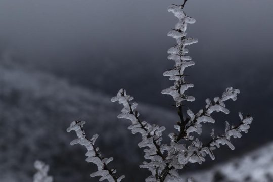 Καιρός: Πιθανότητα καταιγίδας στην Αττική από το μεσημέρι - Ανεβαίνει η θερμοκρασία, χιόνια στα ορεινά
