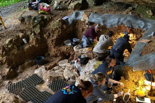 Αποκάλυψη Ελληνίδας ερευνήτριας: Η γενετική ομοιομορφία των ύστερων Νεάντερταλ ίσως οδήγησε στην εξαφάνισή τους