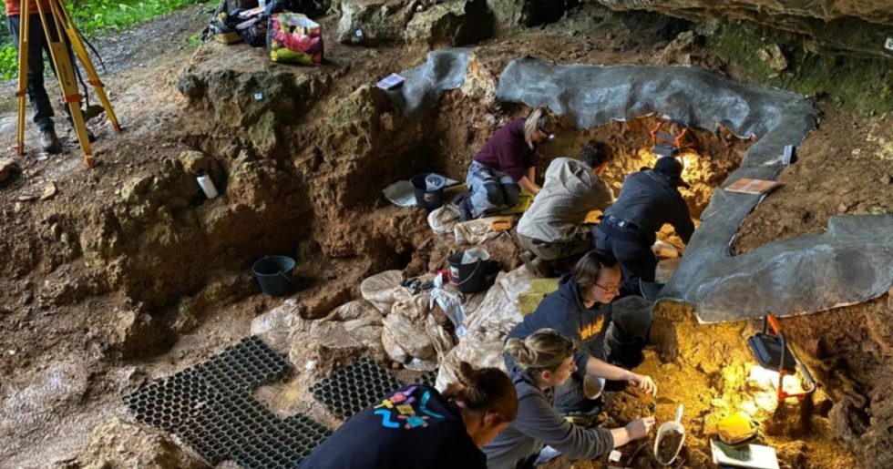 Αποκάλυψη Ελληνίδας ερευνήτριας: Η γενετική ομοιομορφία των ύστερων Νεάντερταλ ίσως οδήγησε στην εξαφάνισή τους