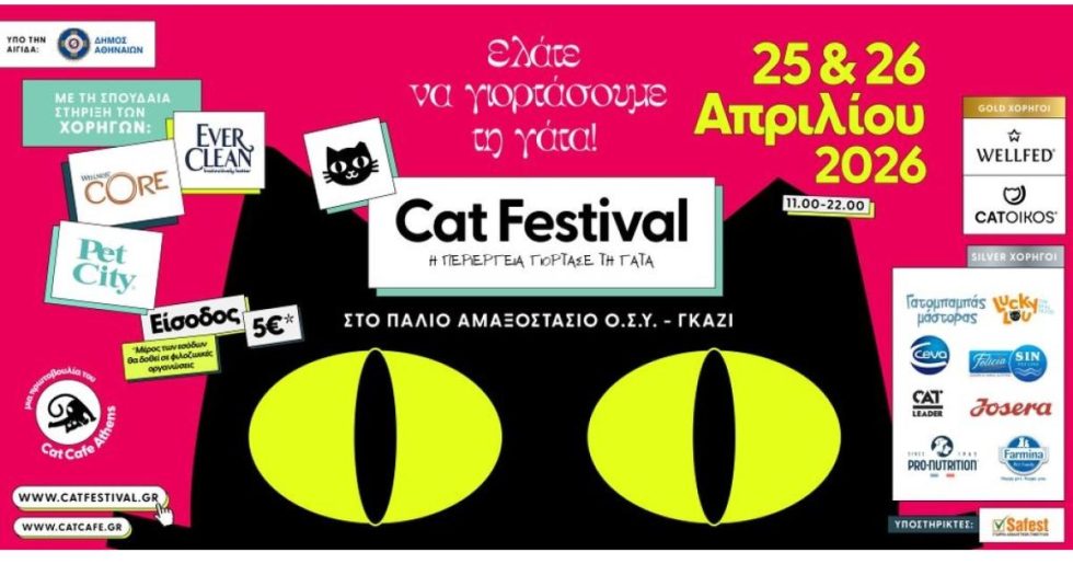 Cat Festival 2026: Η περιέργεια γιορτάζει τη γάτα