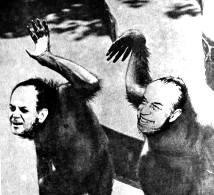 Μια εικόνα, 335 λέξεις