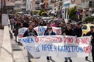 Αφθώδης πυρετός: Κλείνουν τα τυροκομεία στη Λέσβο - Στα κάγκελα οι κτηνοτρόφοι