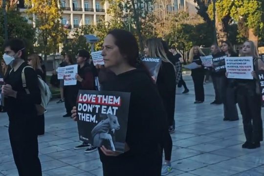 Κινητοποίηση vegans στο Σύνταγμα: «Μπορούμε να γιορτάσουμε το Πάσχα χωρίς να σκοτώνουμε» [βίντεο]