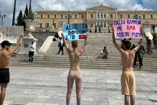 «Η σφαγή δεν είναι αγάπη»: Διαμαρτυρία βίγκαν ακτιβιστών κατά της θανάτωσης αμνοεριφίων για το Πάσχα [βίντεο]