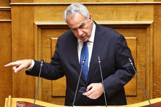 ΟΠΕΚΕΠΕ: Ο Μάκης Βορίδης δεν θα ψήφιζε καμία από τις 13 άρσεις ασυλίας, αλλά «μπορεί να μην τους στεναχωρήσει»
