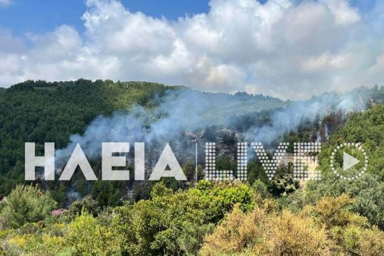 Φωτιά σε δασική έκταση στο Λέπρεο Ηλείας – Μεγάλη κινητοποίηση της Πυροσβεστικής