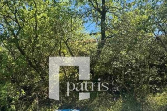 Κρήτη: Αναγκαστική προσγείωση στρατιωτικού ελικοπτέρου - Η ανακοίνωση της Πολεμικής Αεροπορίας