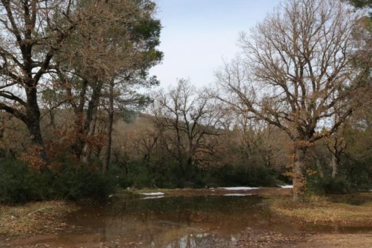 Πάρνηθα: Αυτοκίνητο έπεσε σε γκρεμό - Απεγκλωβίστηκε τραυματίας ο οδηγός