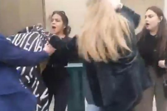 Βίαιη προσαγωγή τεσσάρων γυναικών στη Βουλή - Διαμαρτύρονταν για τα Προσφυγικά Αλεξάνδρας [βίντεο]