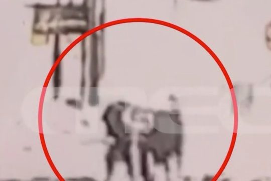 Πάτρα: Βίντεο ντοκουμέντο από τη στιγμή της σύλληψης του 89χρονου που άνοιξε πυρ σε ΕΦΚΑ και Πρωτοδικείο