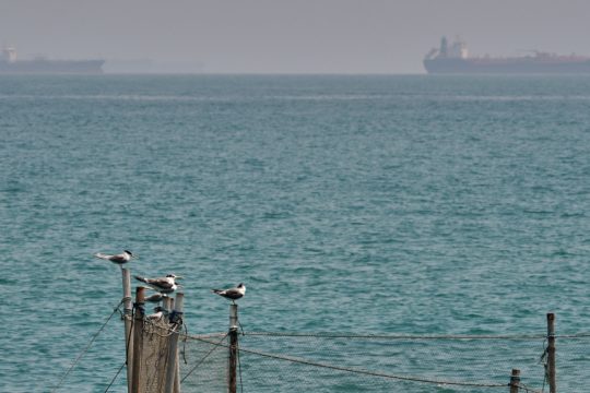 Κοινή δήλωση 90 κρατών-μελών του ΟΗΕ για άμεσο άνοιγμα των Στενών του Ορμούζ - Ανάμεσά τους και η Ελλάδα