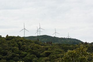 Αιολικός σταθμός στη Θεσπρωτία: Οι 105 λόγοι για αδειοδότηση και ο ένας που… αγνοήθηκε