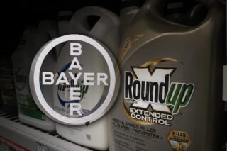 Bayer- Roundup