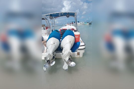 Ακρωτηριασμός παίκτη του Survivor σε ατύχημα με σκάφος: «Δεν μπορεί να μεταφερθεί ακόμη», λέει ο Γεωργιάδης