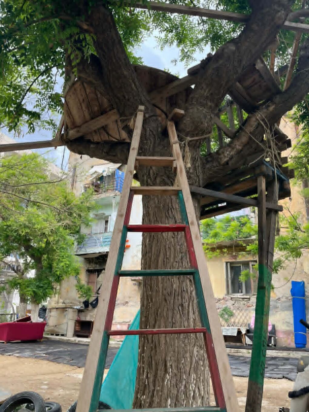 Το δενδρόσπιτο