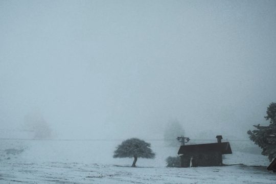Ποιητής… εκ του προχείρου