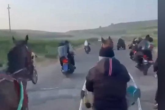 Σάλος με παράνομη ιπποδρομία στη Σικελία: Καλάζνικοφ, πυροβολισμοί και δεκάδες μηχανάκια να τρέχουν από πίσω [βίντεο]