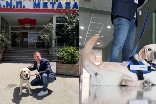 Ο Ντύλαν «έπιασε δουλειά» στο νοσοκομείο Μεταξά - Ο πρώτος σκύλος θεραπείας