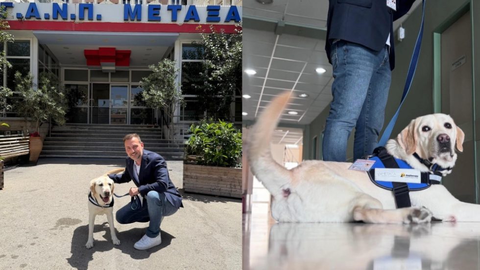 Ο Ντύλαν «έπιασε δουλειά» στο νοσοκομείο Μεταξά - Ο πρώτος σκύλος θεραπείας