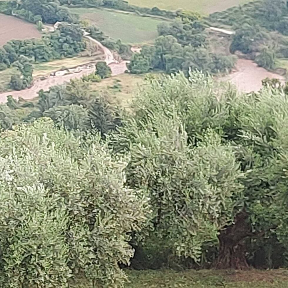 ilialive.gr
