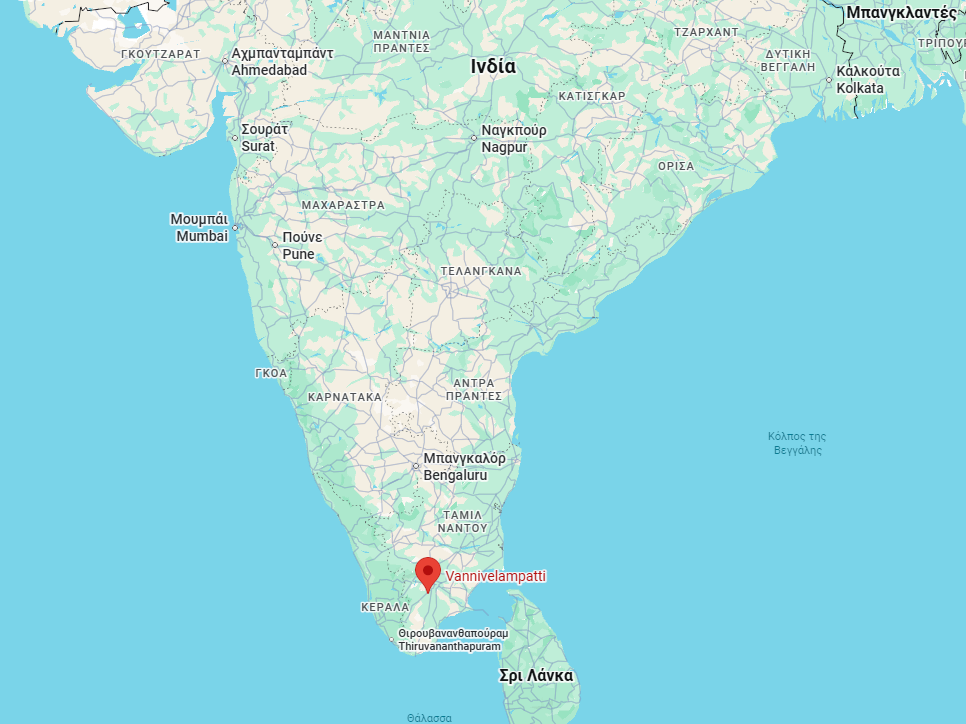 Google Maps