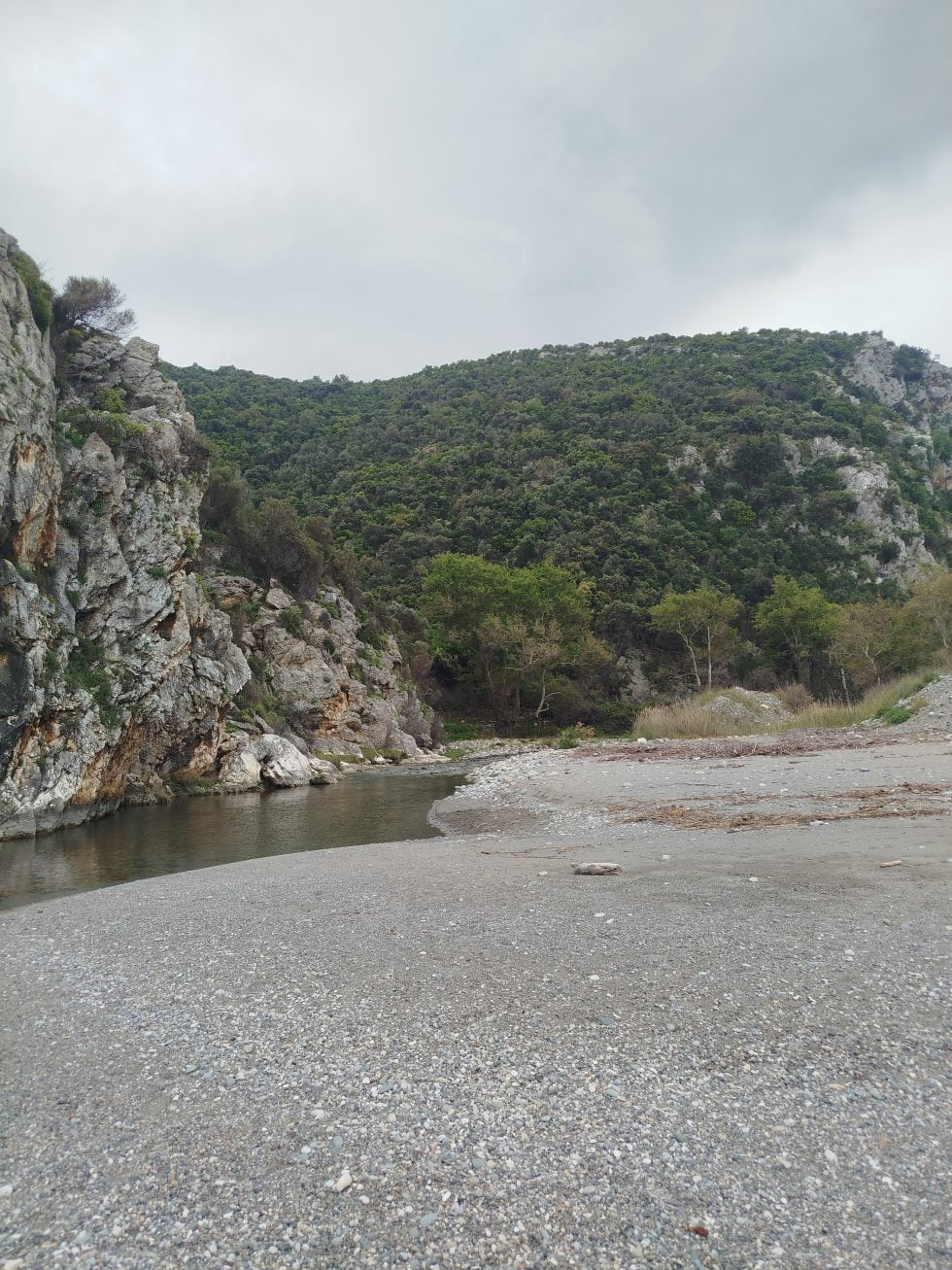 Νίκος Μαλλιαράκης / Εφημερίδα των Συντακτών