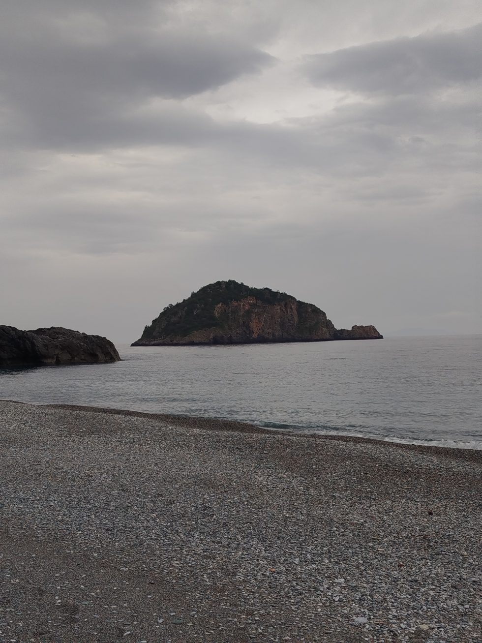 Νίκος Μαλλιαράκης / Εφημερίδα των Συντακτών
