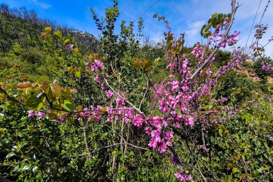Περιορίζονται οι βροχές, ανεβαίνει η θερμοκρασία - Στους 26 βαθμούς θα φτάσει ο υδράργυρος