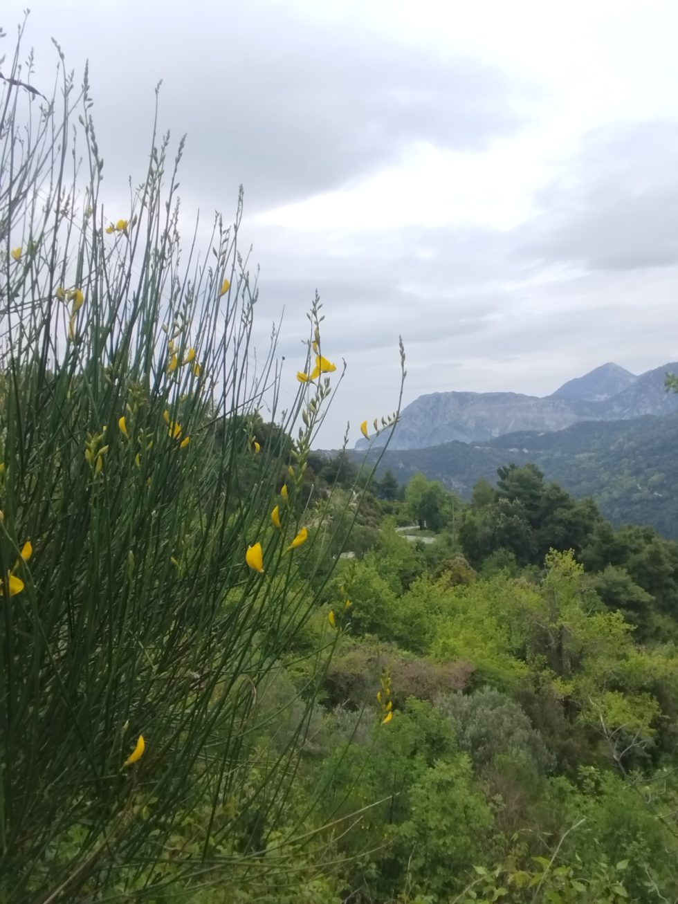 Θέα από ψηλά. | Νίκος Μαλλιαράκης / Εφημερίδα των Συντακτών