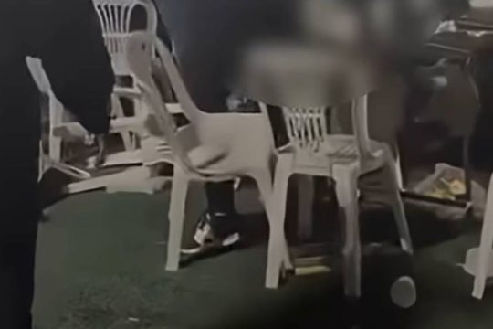 Θεσσαλονίκη: Σοκαριστικό βίντεο από βίαιη συμπλοκή σε ποντιακό γλέντι - «Θα μας σκοτώσουν»