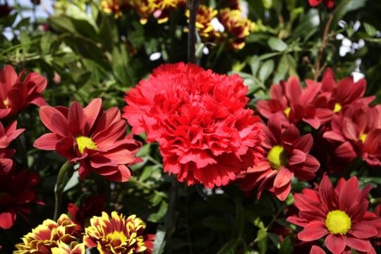 Η Εργατική Πρωτομαγιά στην ελληνική και ξένη λογοτεχνία
