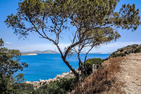 Καιρός: Στους 26 βαθμούς σκαρφαλώνει σήμερα ο υδράργυρος - Ανεβαίνει κι άλλο τις επόμενες ημέρες