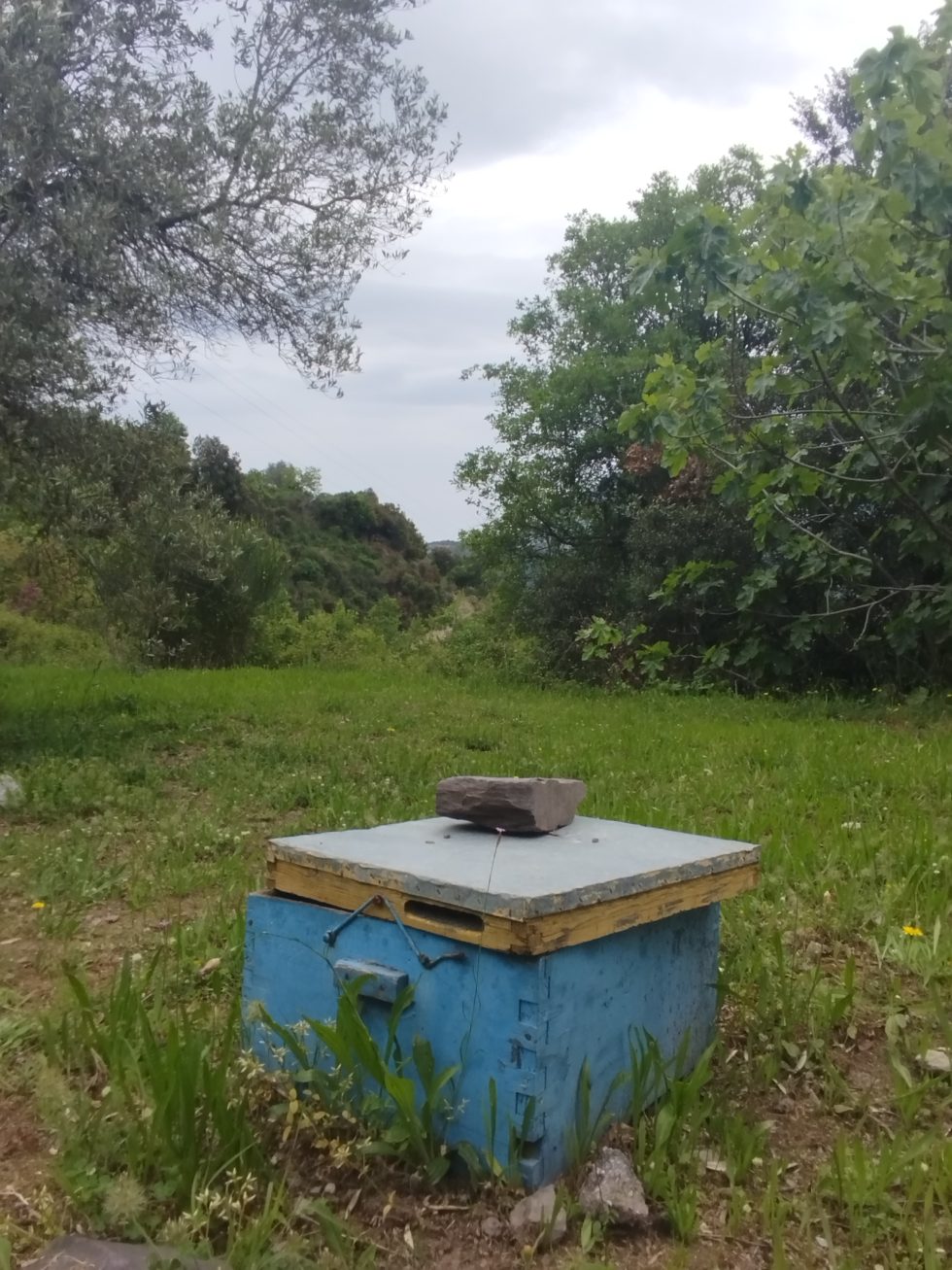 Νίκος Μαλλιαράκης / Εφημερίδα των Συντακτών