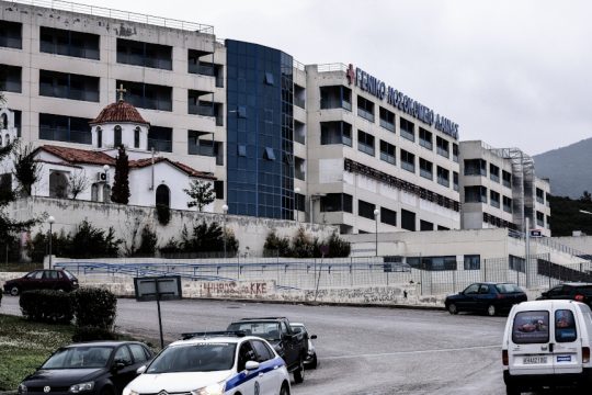 Λαμία: Σε ΜΕΘ 58χρονος έπειτα από δάγκωμα οχιάς
