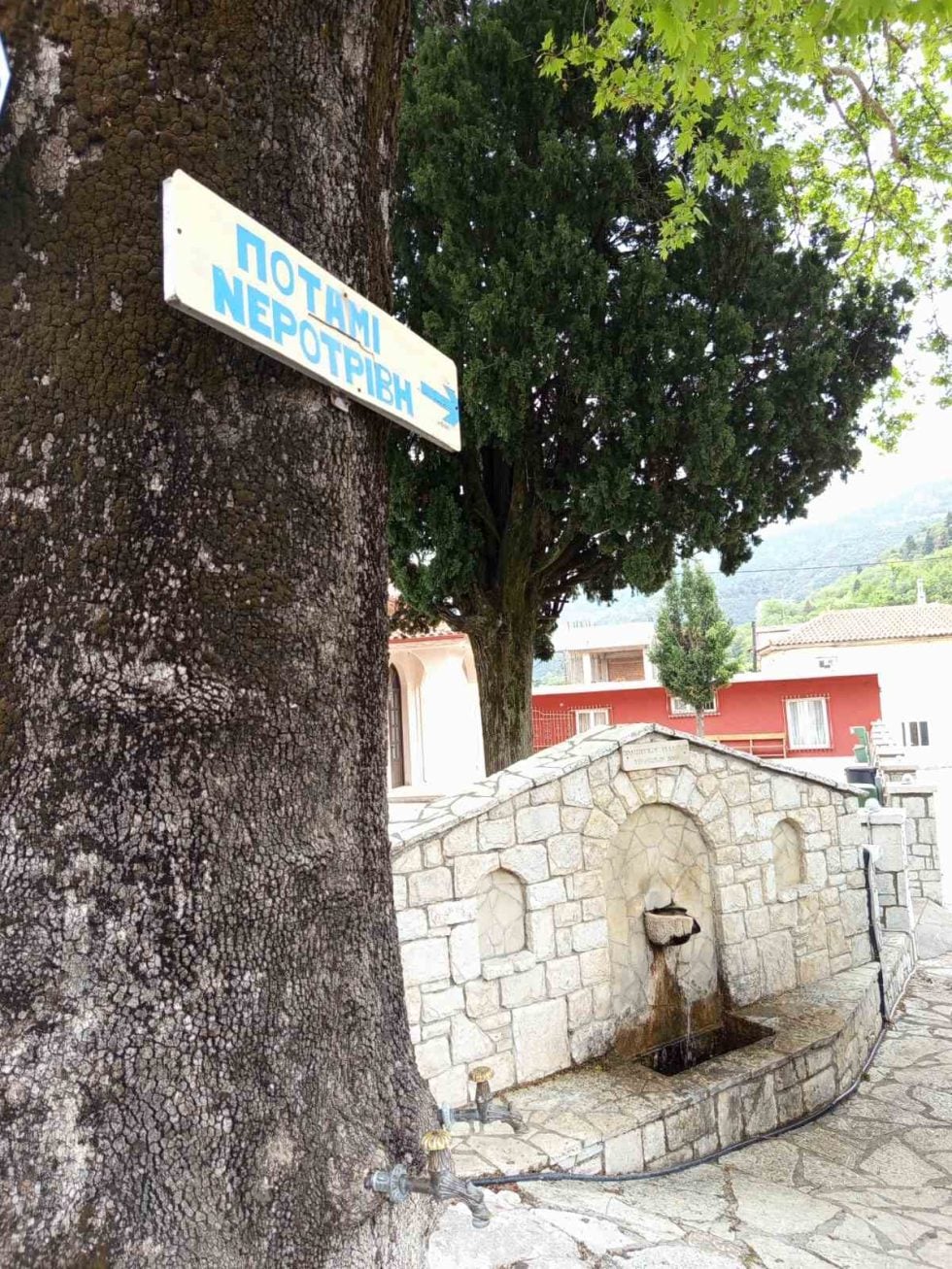 Νίκος Μαλλιαράκης / Εφημερίδα των Συντακτών