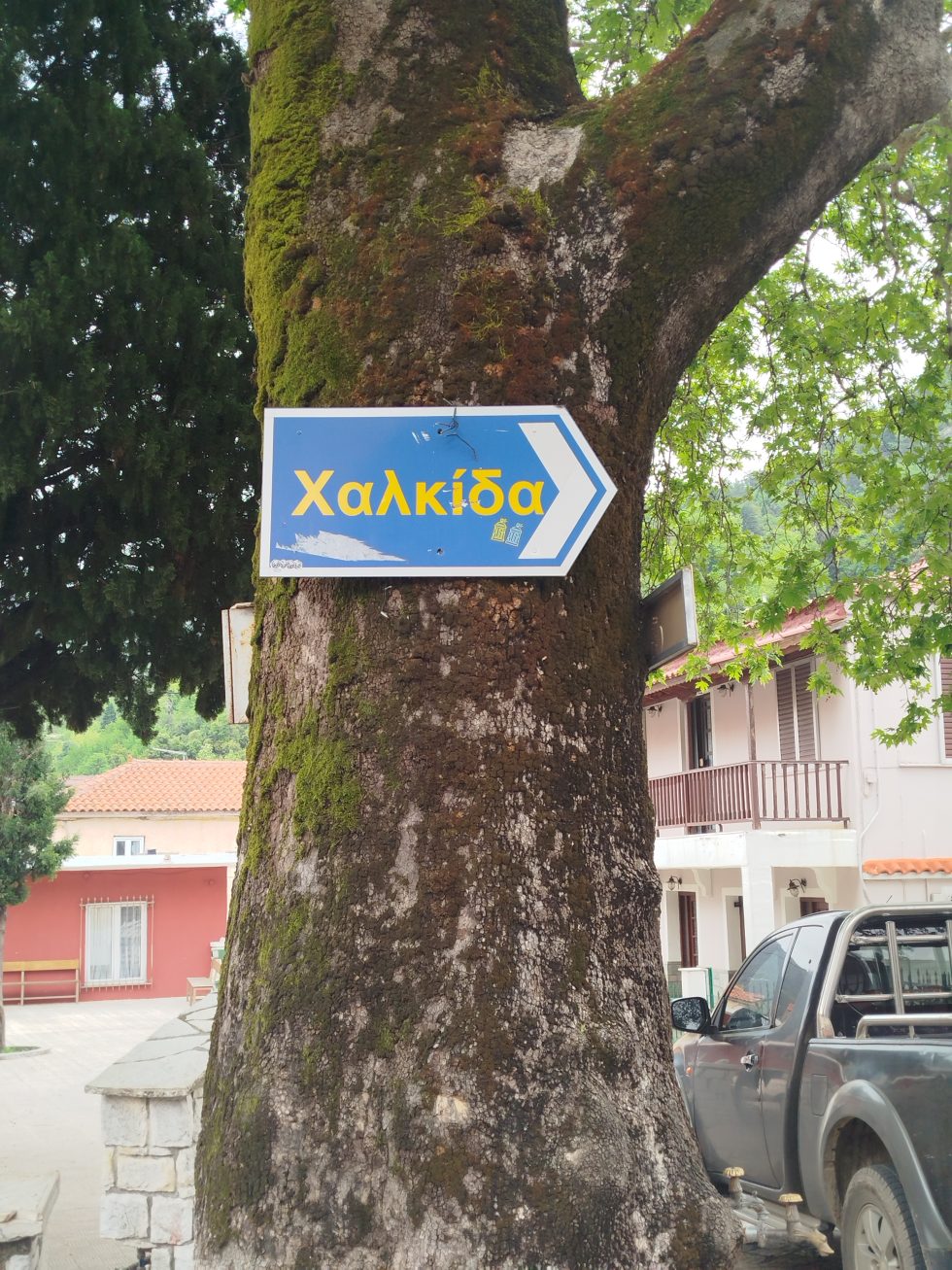 Πινακίδα πάνω σε πλάτανο στους Στρόπωνες. | Νίκος Μαλλιαράκης / Εφημερίδα των Συντακτών
