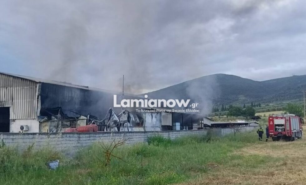 Φθιώτιδα: Μεγάλη φωτιά σε εργοστάσιο με εκτεταμένες ζημιές