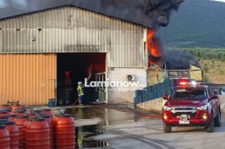 Φθιώτιδα: Μεγάλη φωτιά σε εργοστάσιο με εκτεταμένες ζημιές