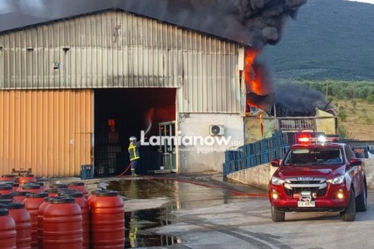 Φθιώτιδα: Μεγάλη φωτιά σε εργοστάσιο με εκτεταμένες ζημιές