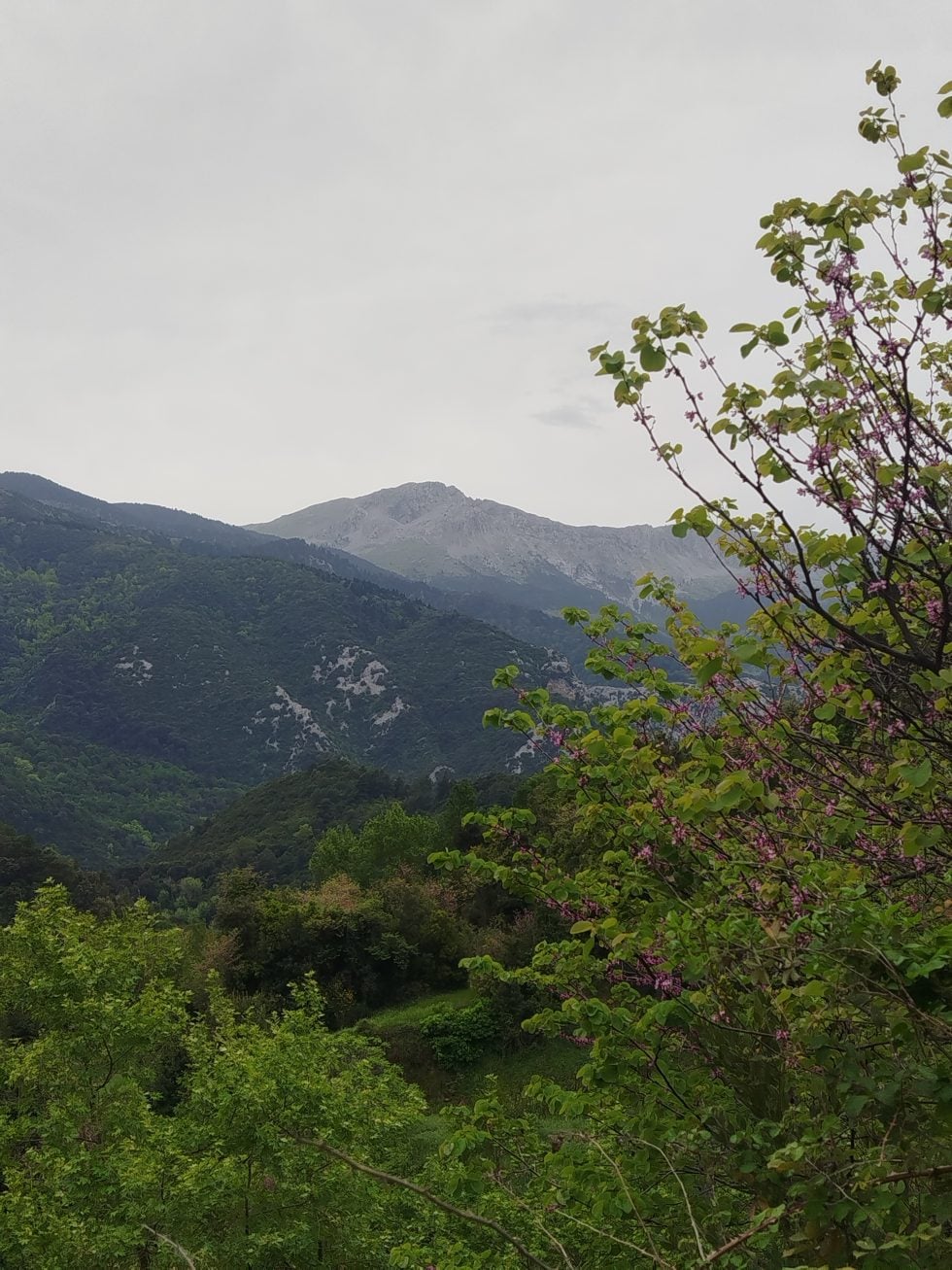 Στον δρόμο προς Στενή. | Νίκος Μαλλιαράκης / Εφημερίδα των Συντακτών