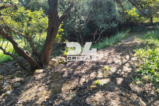 Χανιά: Σοκαρισμένος ο βοσκός που βρήκε το πτώμα του 33χρονου γιατρού – «Περπατούσα στο χωράφι και είδα ένα παπούτσι»