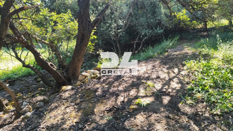 Χανιά: Σοκαρισμένος ο βοσκός που βρήκε το πτώμα του 33χρονου γιατρού – «Περπατούσα στο χωράφι και είδα ένα παπούτσι»