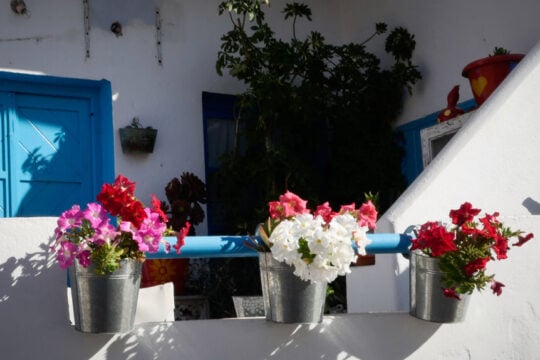 Το καλοκαίρι της αυλής