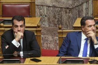 Πλεύρης και Γεωργιάδης ειρωνεύονται τον ΟΗΕ