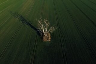 Παράλληλα σύμπαντα #NowForClimate